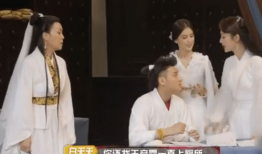 秦嘉倪爆料全集吃瓜,揭秘娱乐圈背后的惊人真相